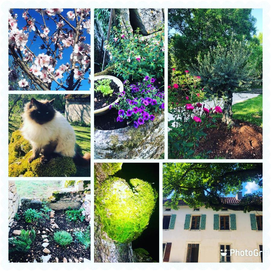 Mas D'Aubrac Acomodação com café da manhã Limogne-en-Quercy Exterior foto